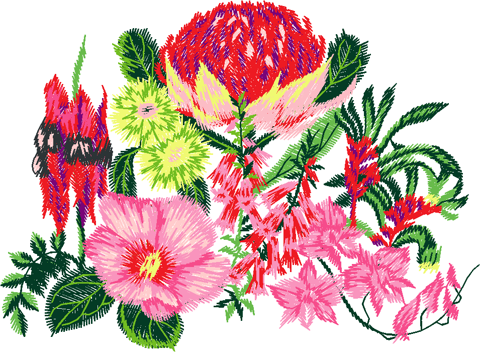 Austrialian Flowers 1 (17)