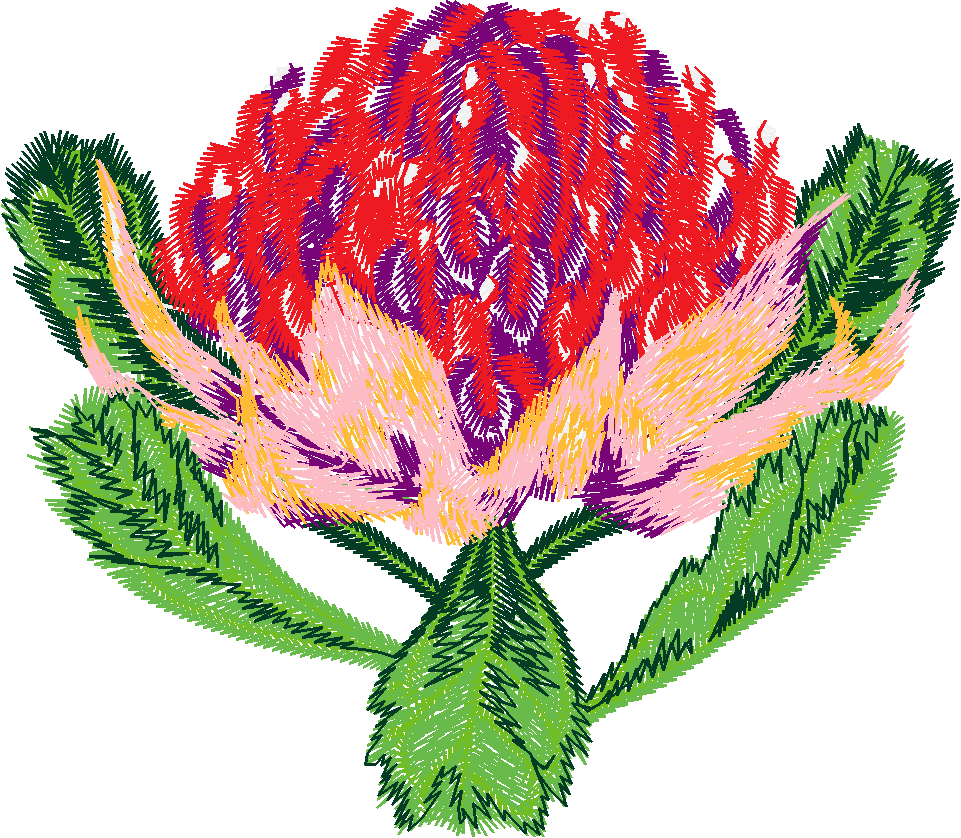 Austrialian Flowers 1 (2)