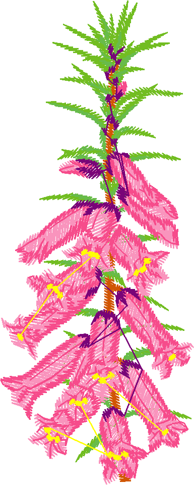 Austrialian Flowers 1 (3)