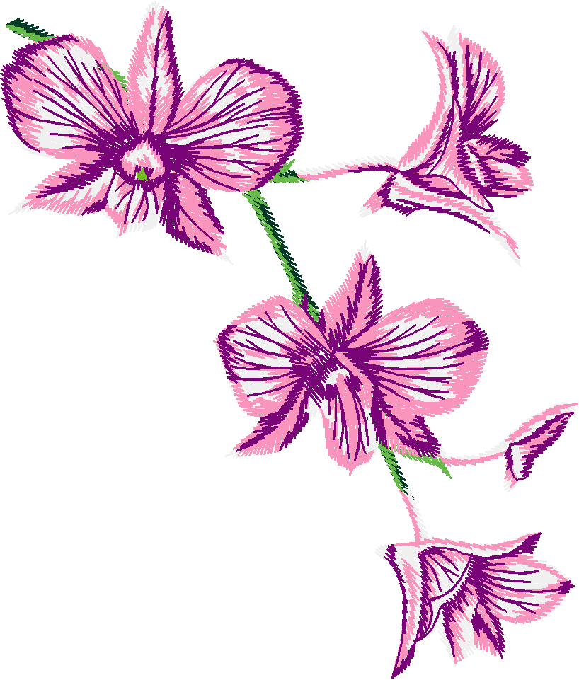 Austrialian Flowers 1 (4)