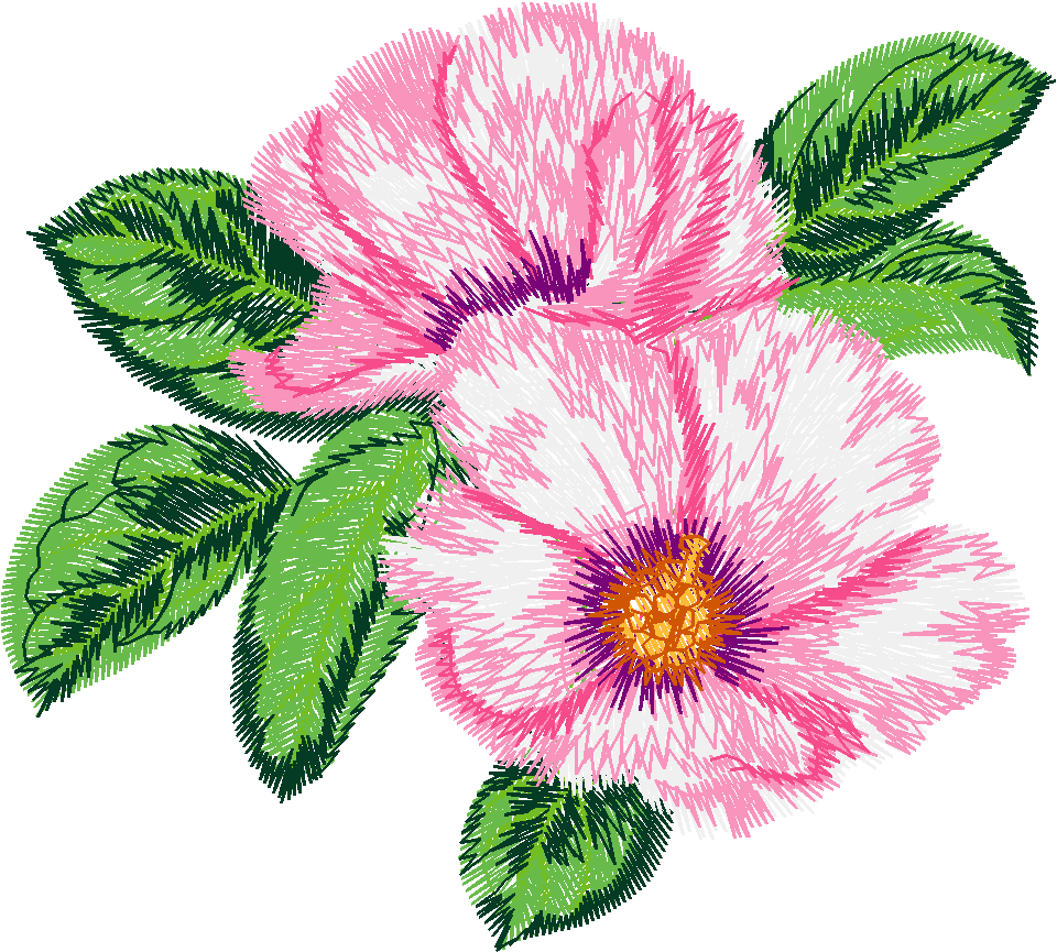 Austrialian Flowers 1 (7)