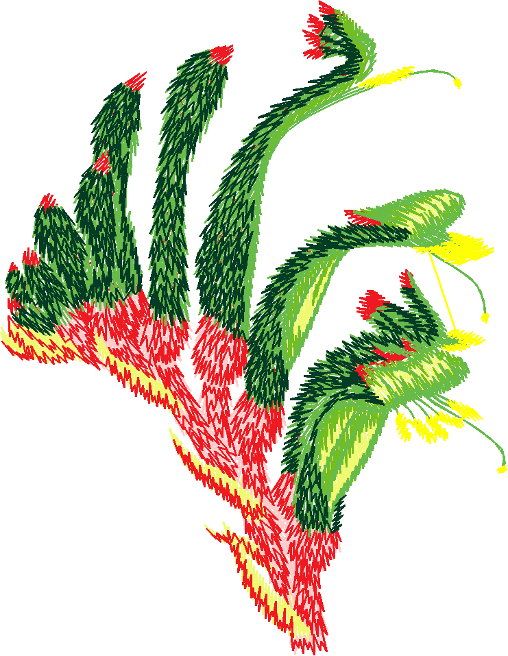 Austrialian Flowers 1 (8)