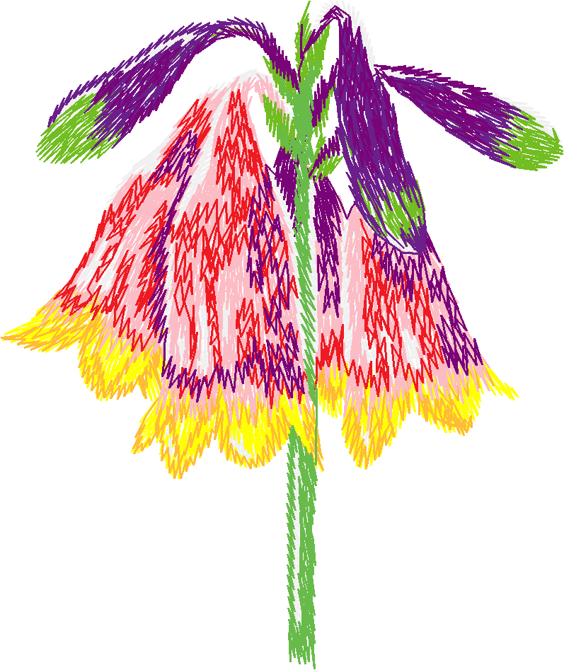 Austrialian Flowers 1 (9)