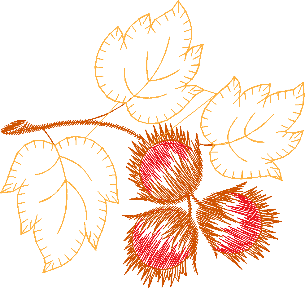 Autumn Leaves 1 (10)