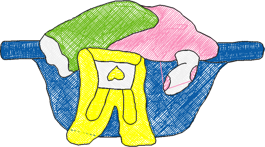 Bathroom Rules 1  (13)