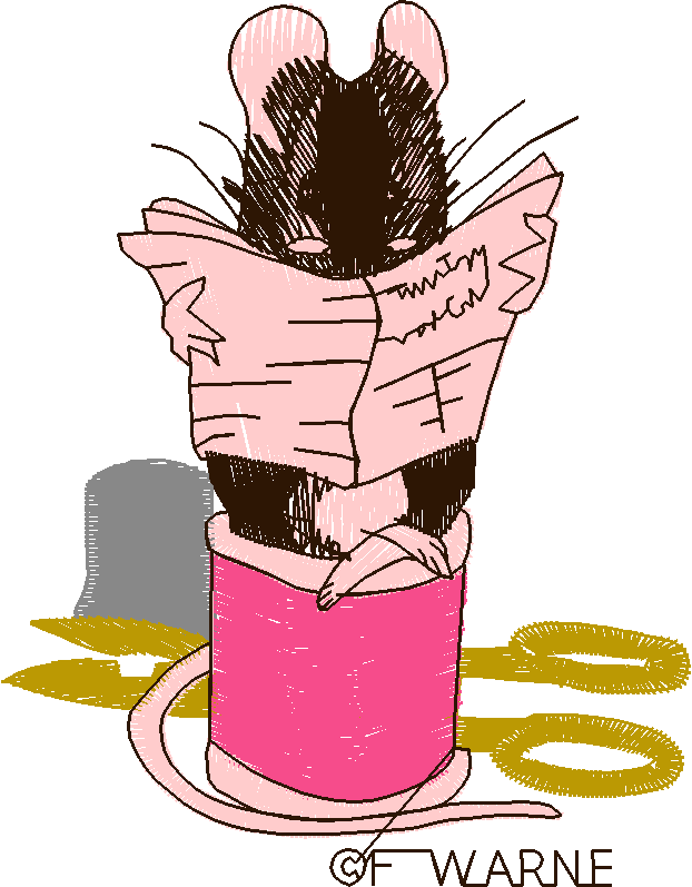 Best Of Bernina 1 (21)