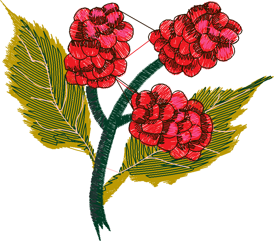 Berries 1 (15)