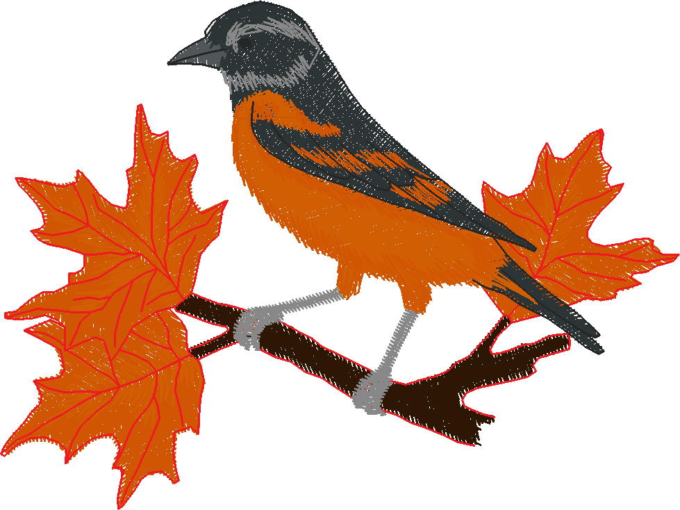 Birds & Butterflies 1 (11)