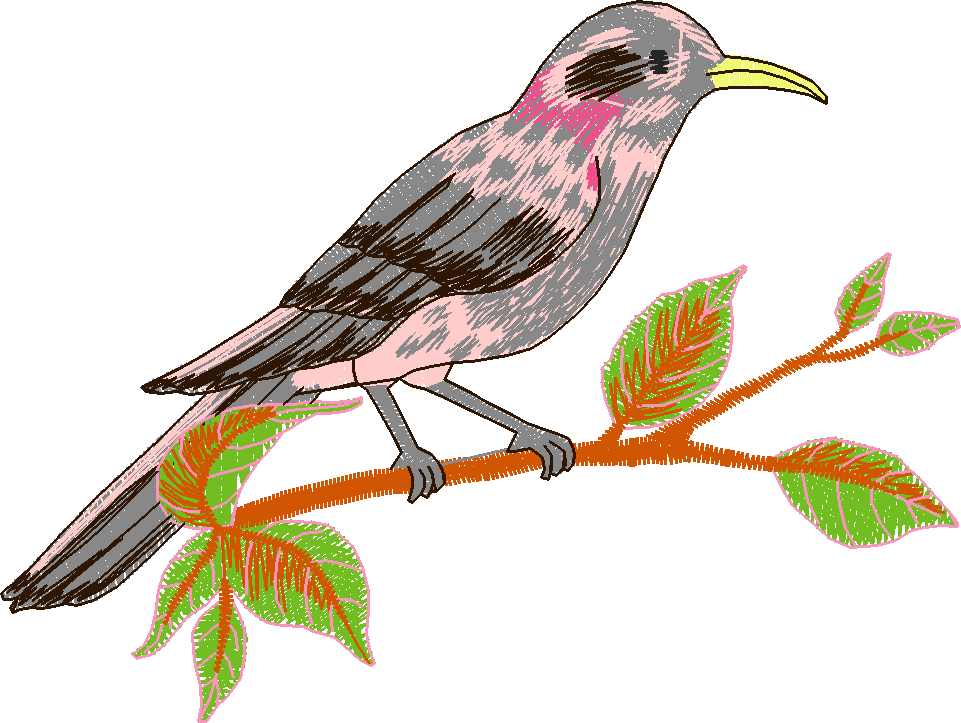 Birds & Butterflies 1 (13)