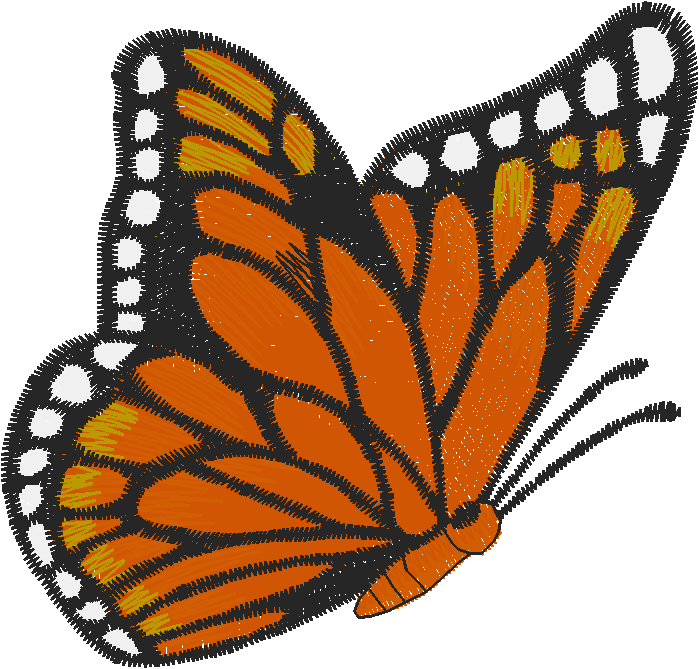 Birds & Butterflies 1 (17)