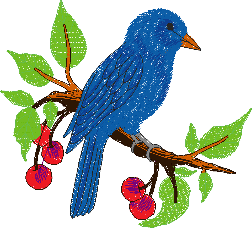 Birds & Butterflies 1 (19)