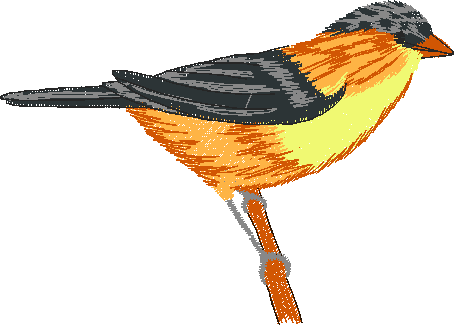 Birds & Butterflies 1 (2)