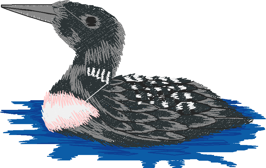 Birds & Butterflies 1 (4)