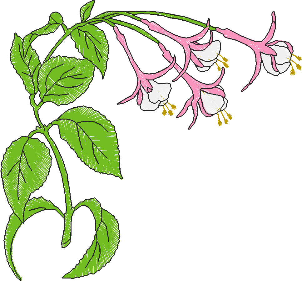 Borders & Corners 1 (41)