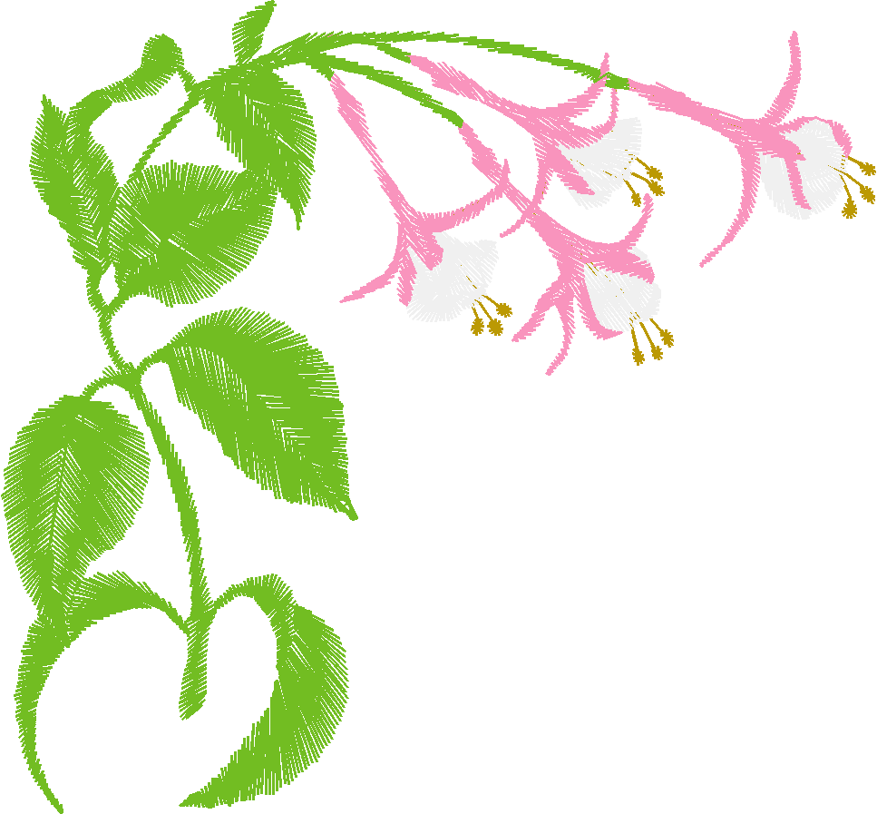 Borders & Corners 1 (42)