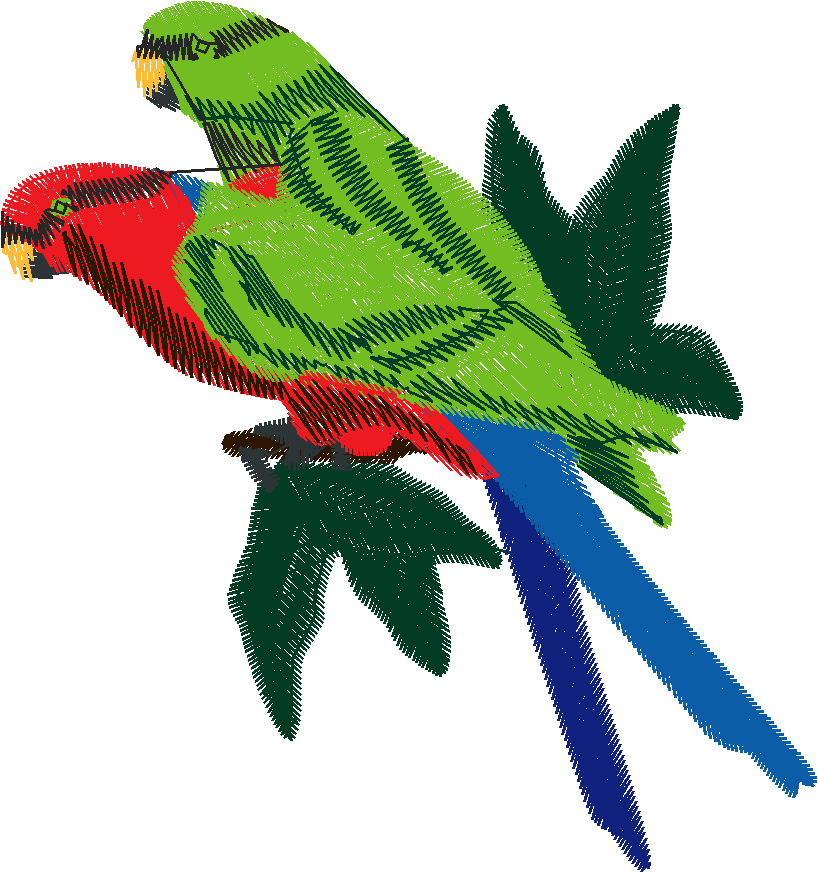 Bush Beauties 1  (10)