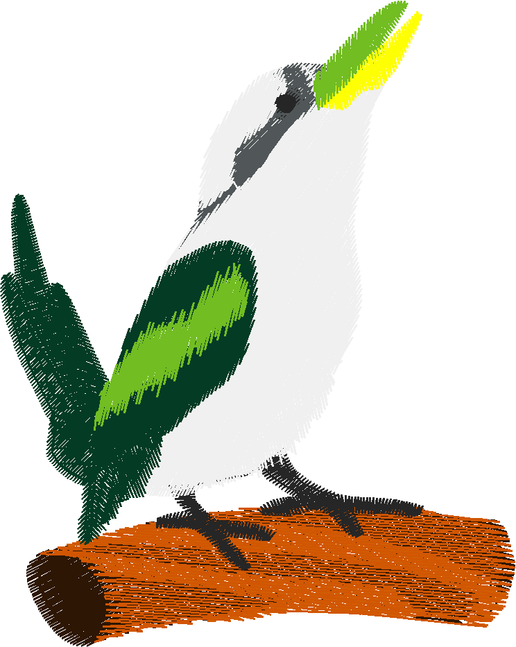 Bush Beauties 1  (11)