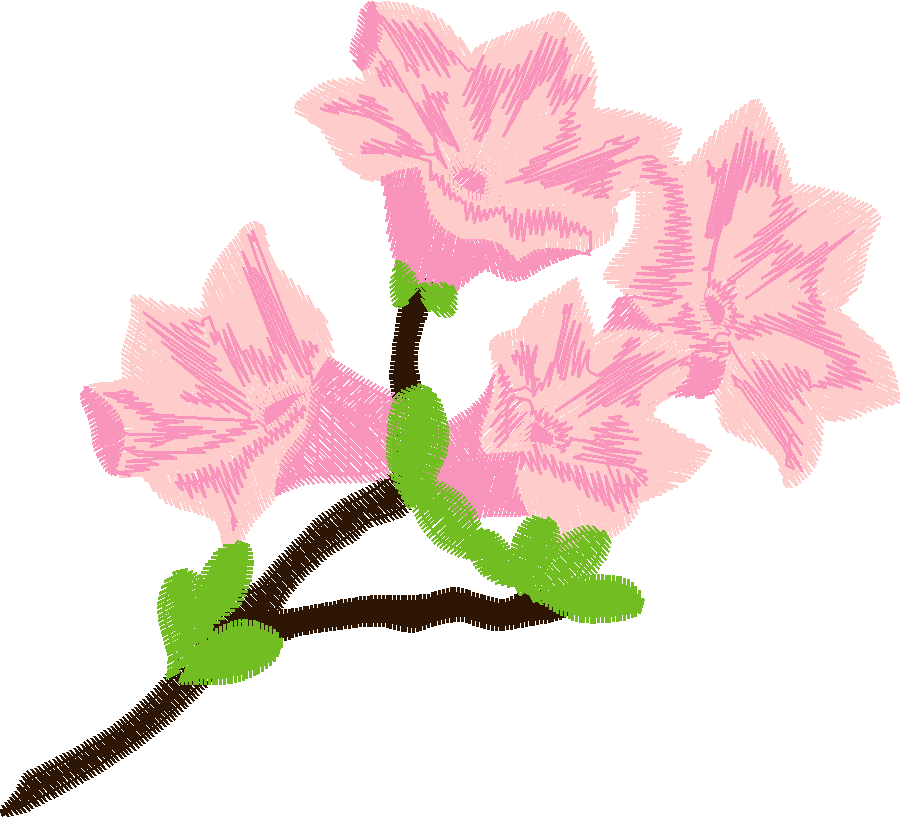 Bush Beauties 1  (12)