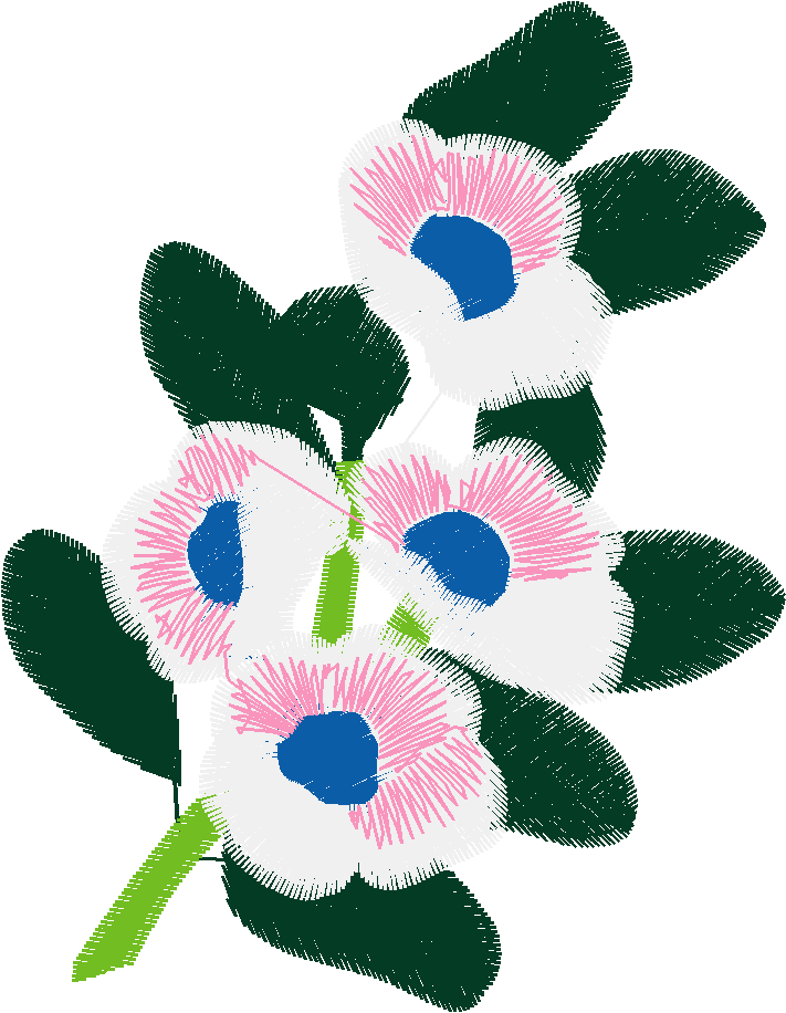 Bush Beauties 1  (13)