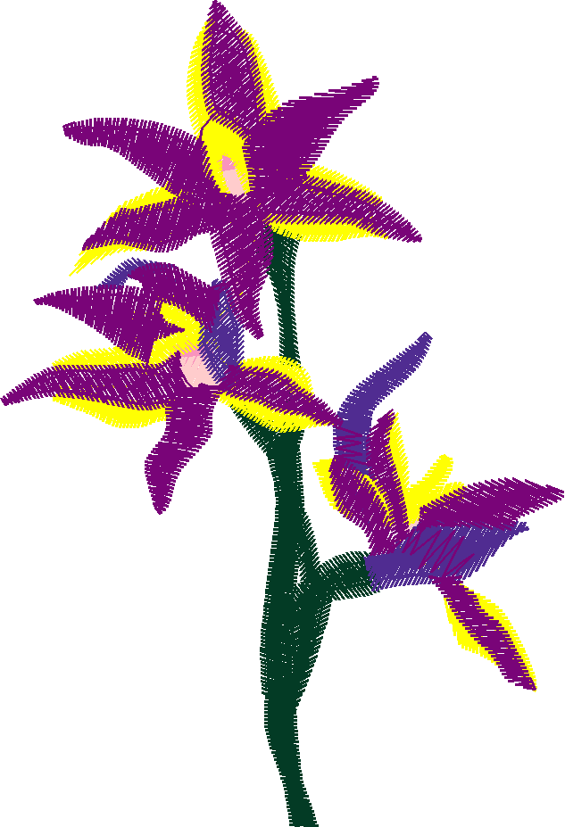 Bush Beauties 1  (16)