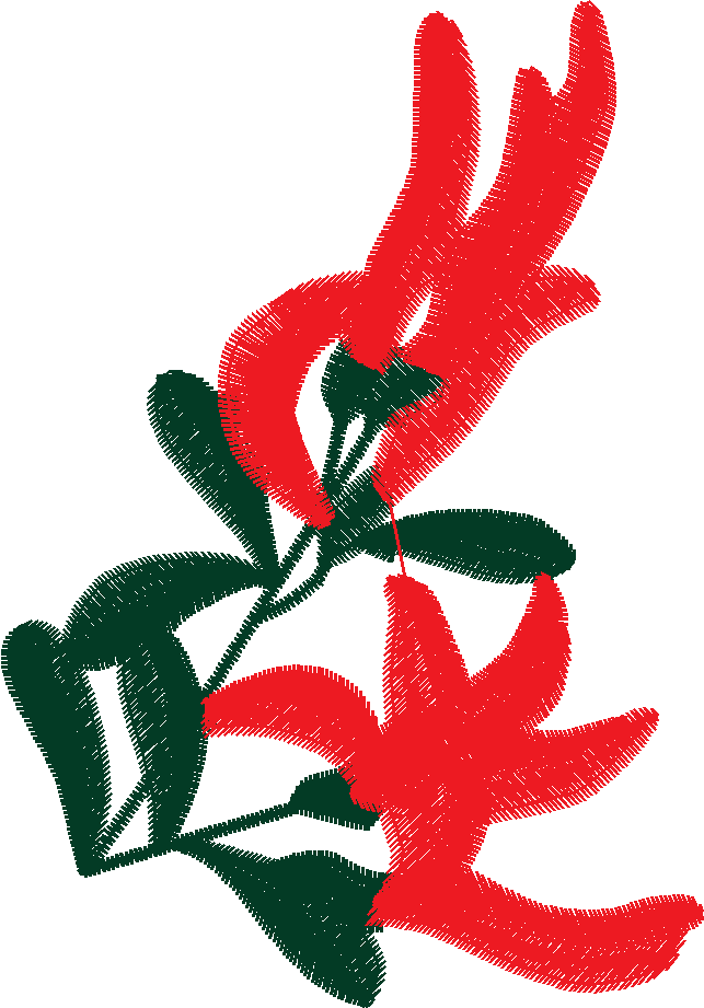 Bush Beauties 1  (18)