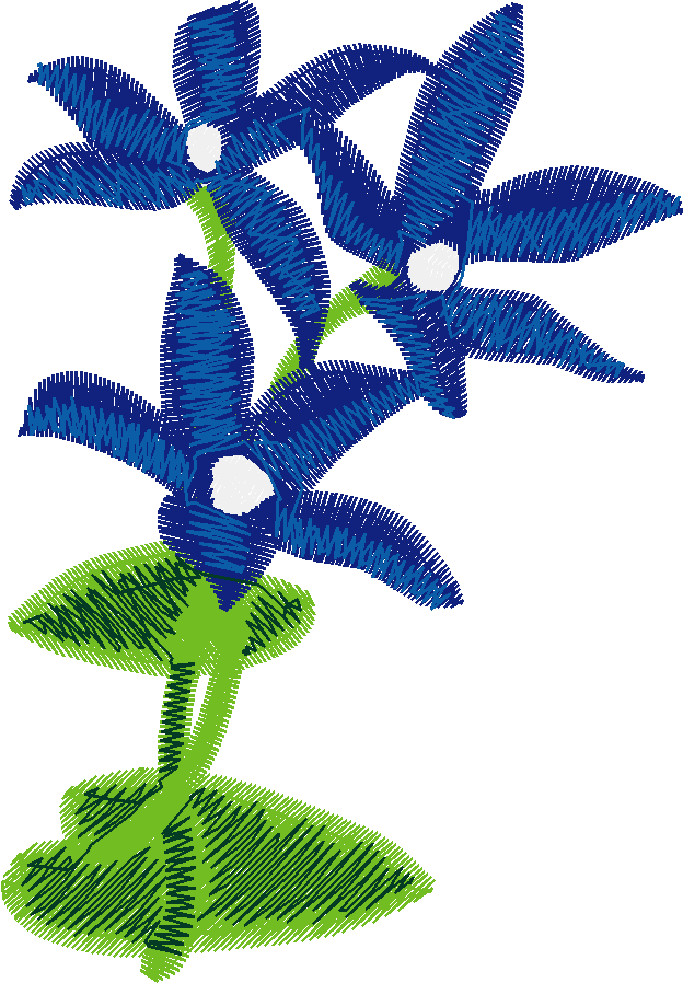 Bush Beauties 1  (2)