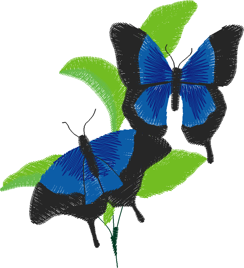 Bush Beauties 1  (22)