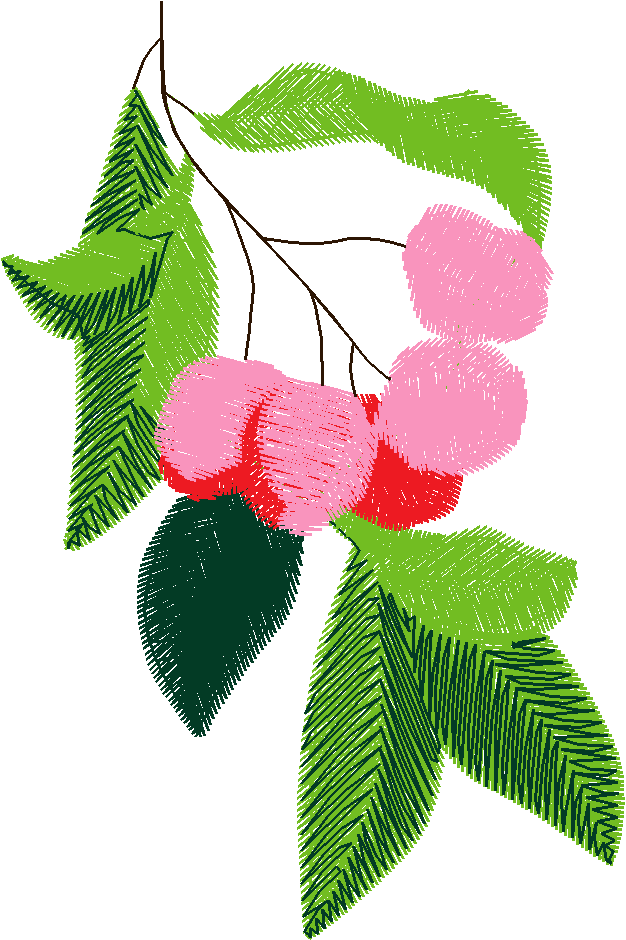 Bush Beauties 1  (5)