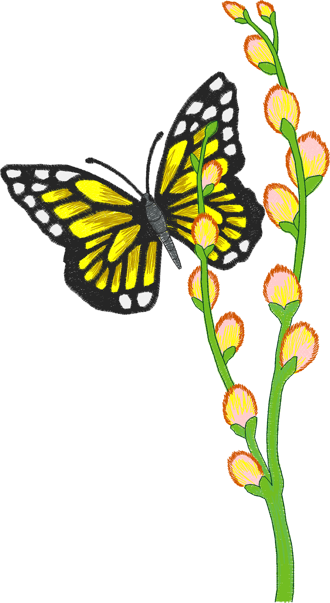 Butterflies 11  (10)#