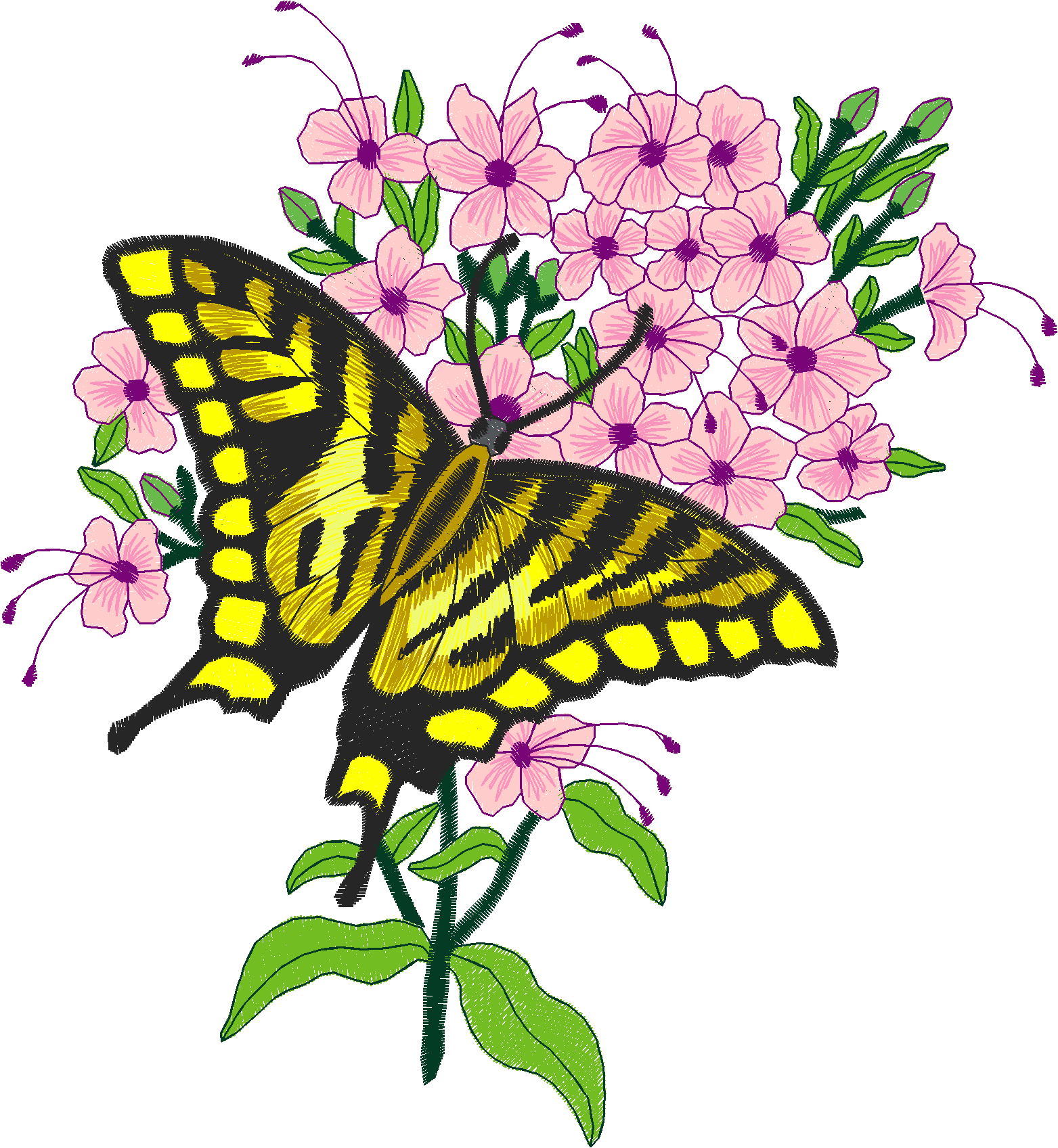 Butterflies 11  (12)