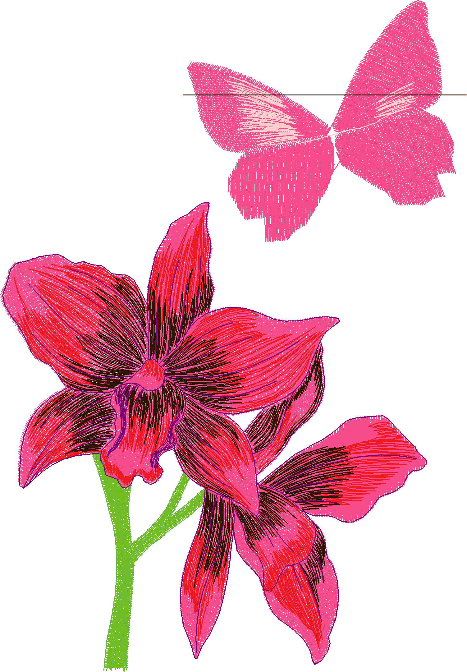 Butterflies 11  (4)#