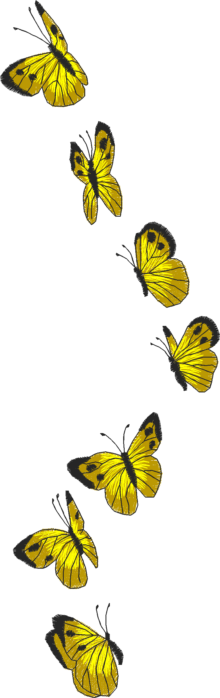 Butterflies 11  (7)#
