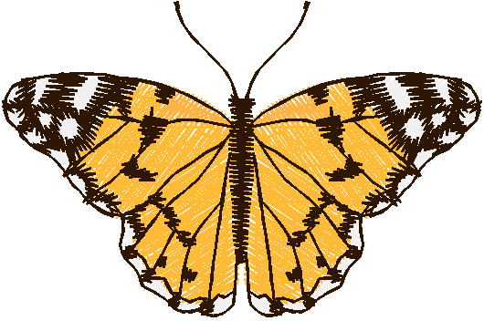 Butterflies 12  (10)