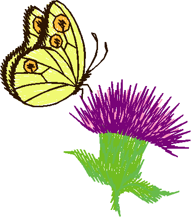 Butterflies 12  (15)