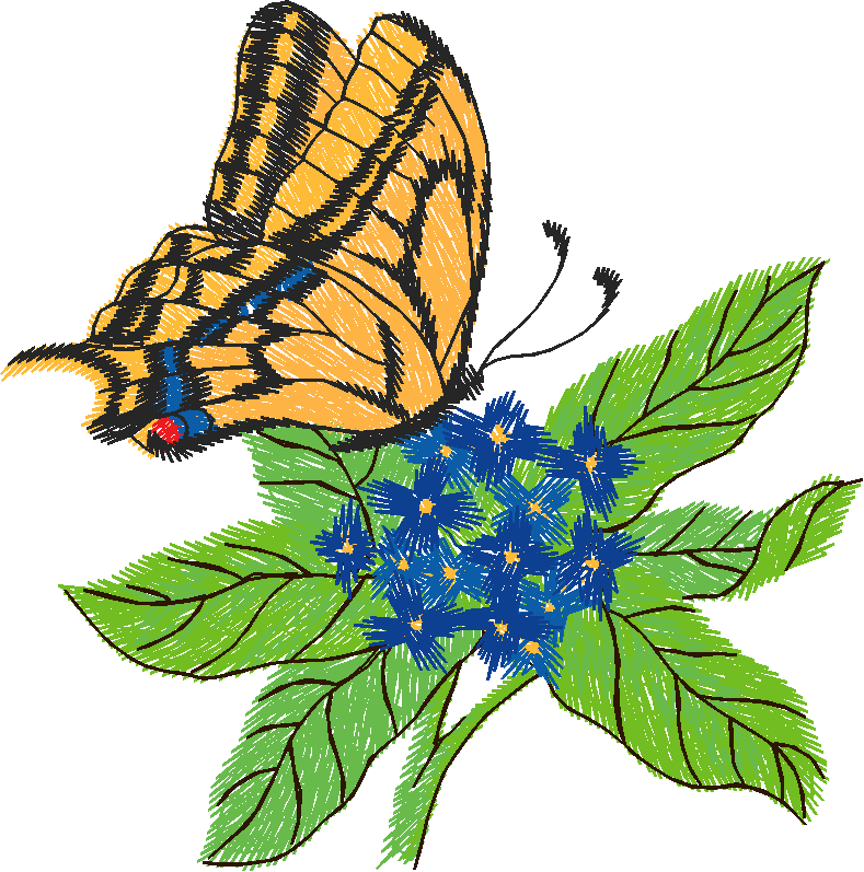 Butterflies 12  (17)