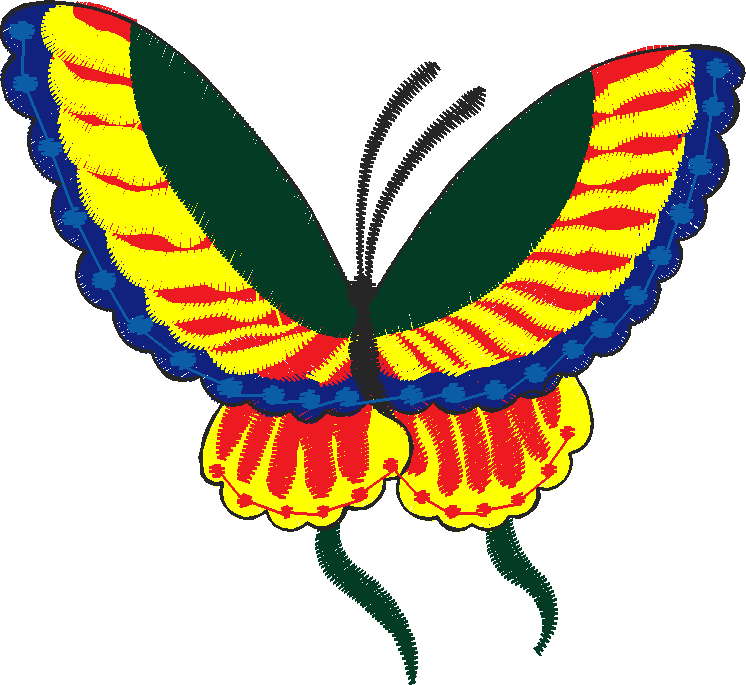 Butterflies 13  (12)