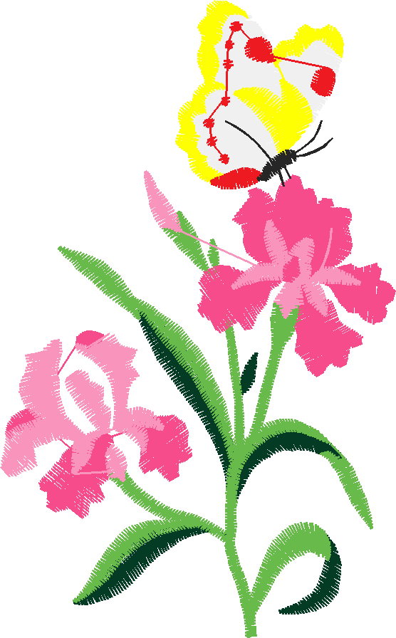 Butterflies 13  (14)