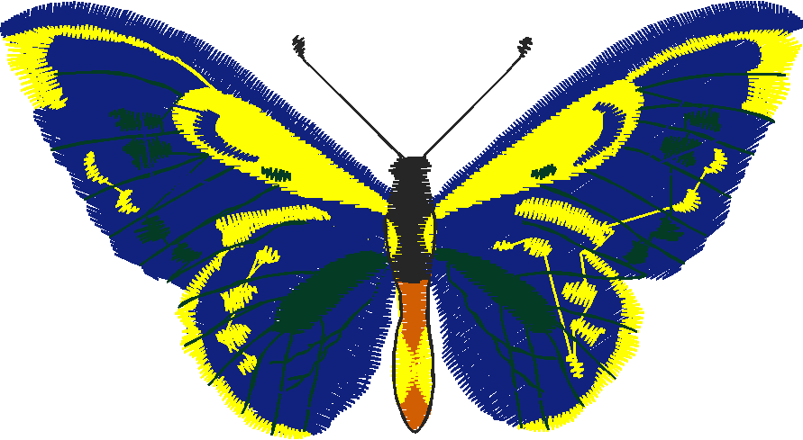 Butterflies 13  (16)