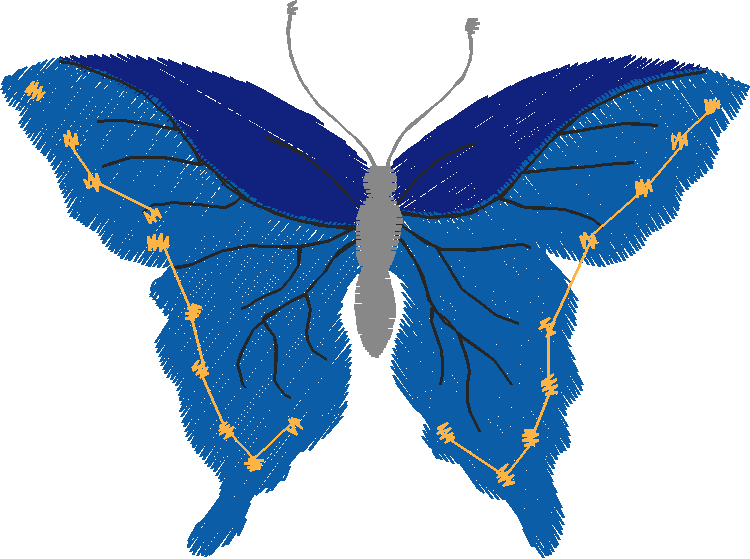 Butterflies 13  (18)