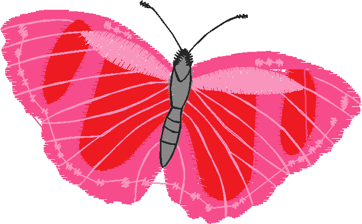 Butterflies 13  (19)