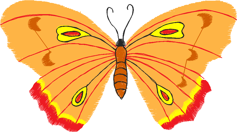 Butterflies 13  (21)