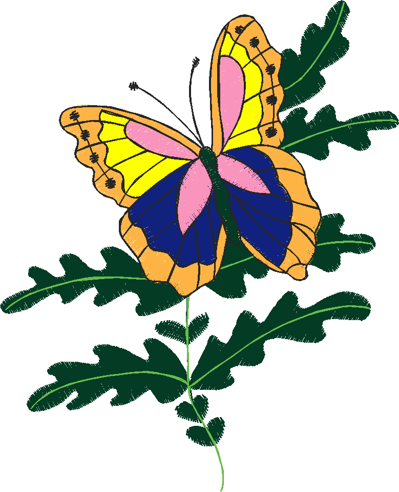 Butterflies 13  (22)