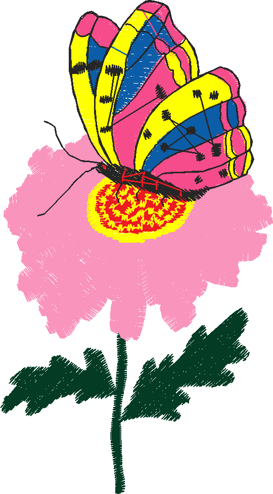 Butterflies 13  (25)