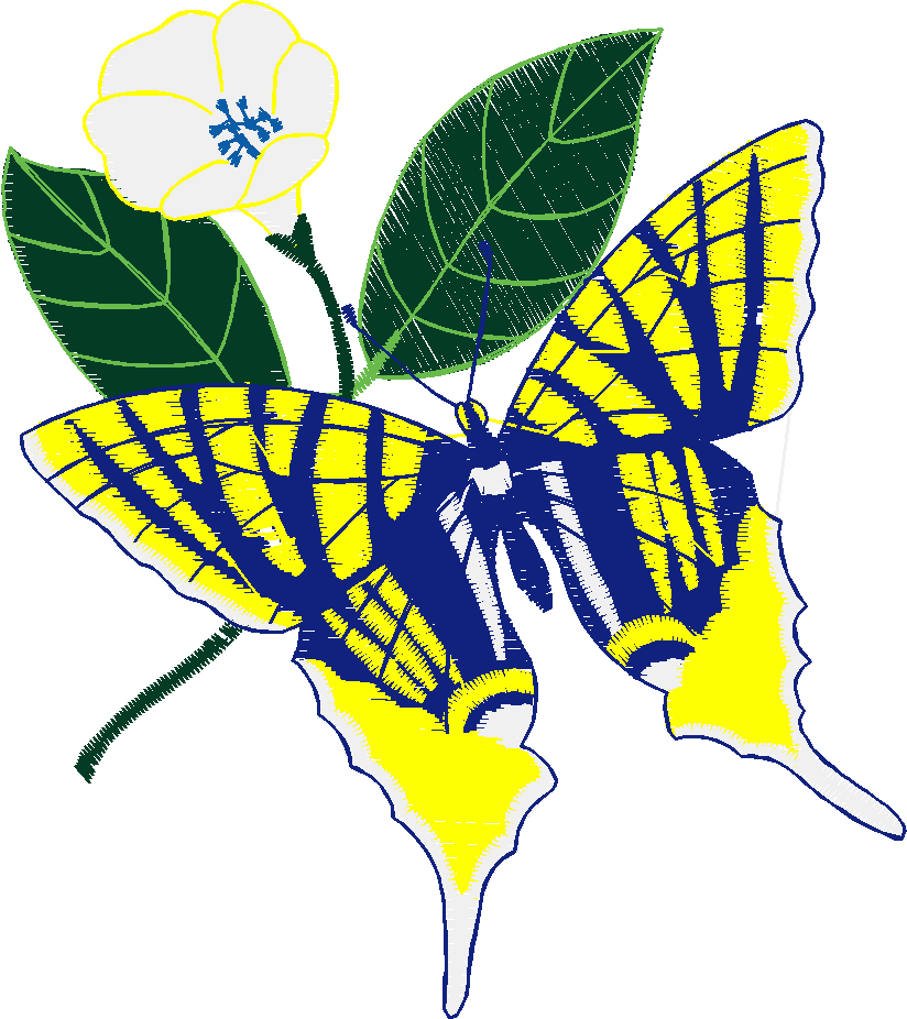 Butterflies 13  (27)