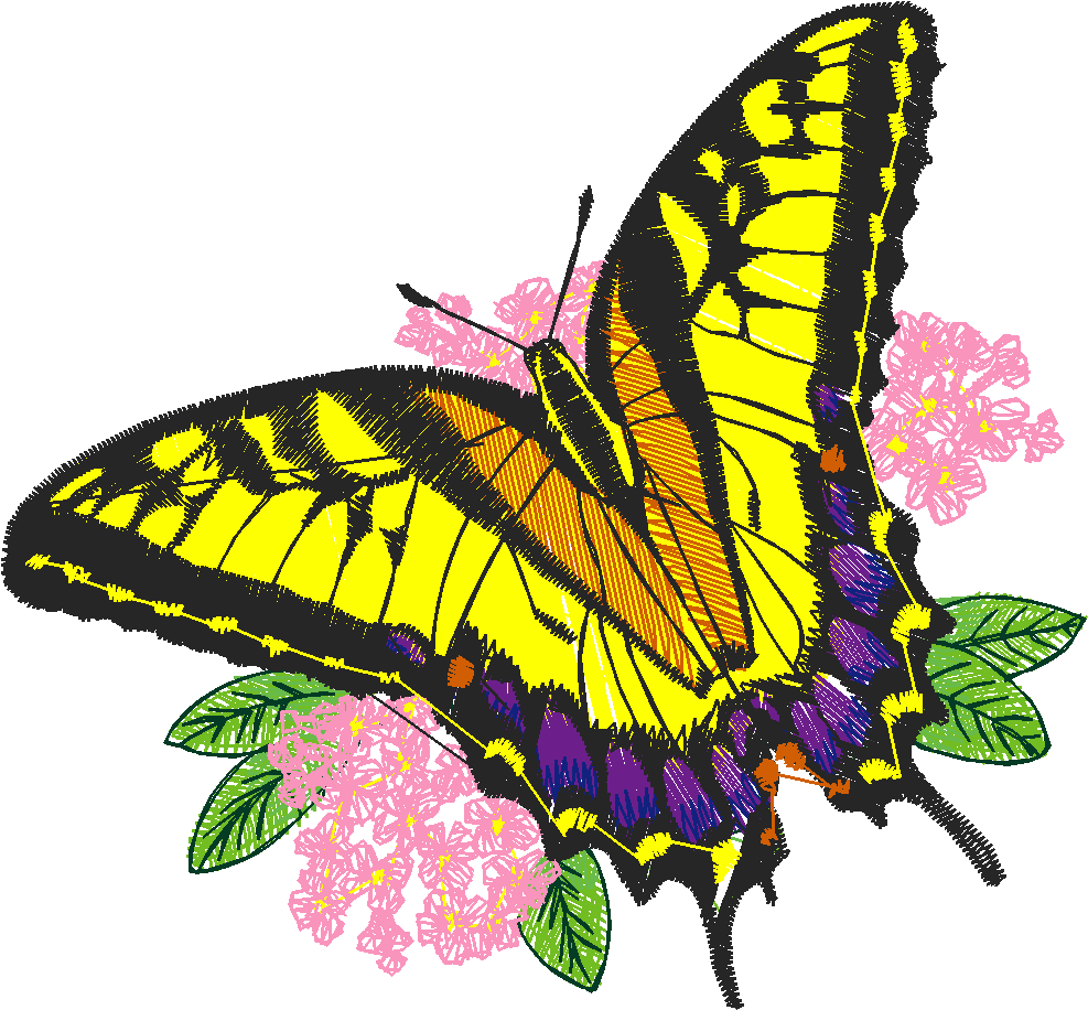 Butterflies 13  (30)