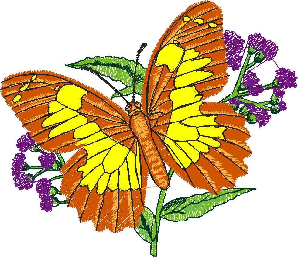 Butterflies 13  (33)