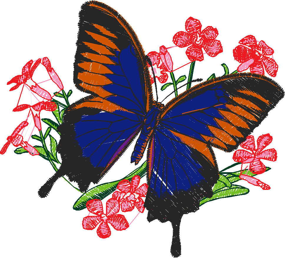 Butterflies 13  (36)