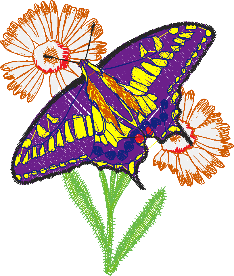 Butterflies 13  (37)