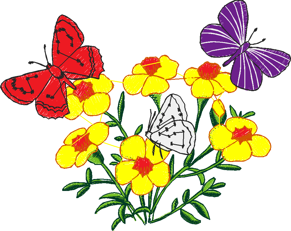 Butterflies 13  (39)