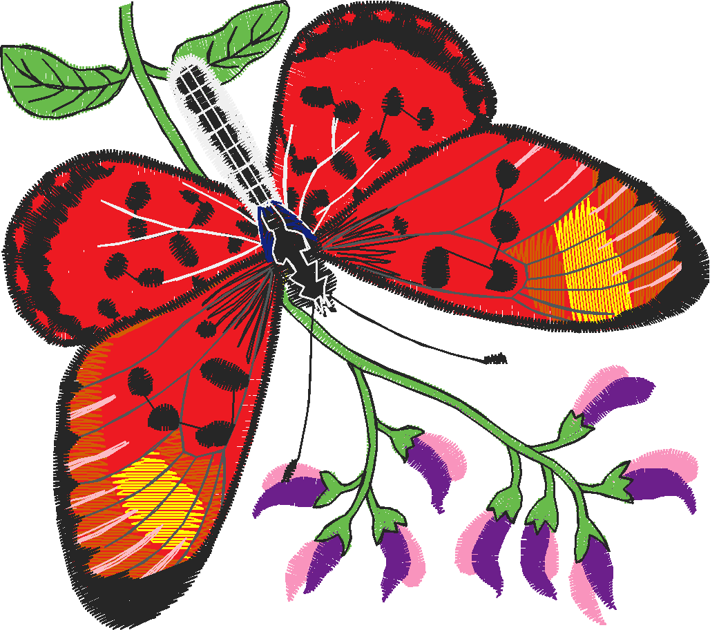 Butterflies 13  (40)